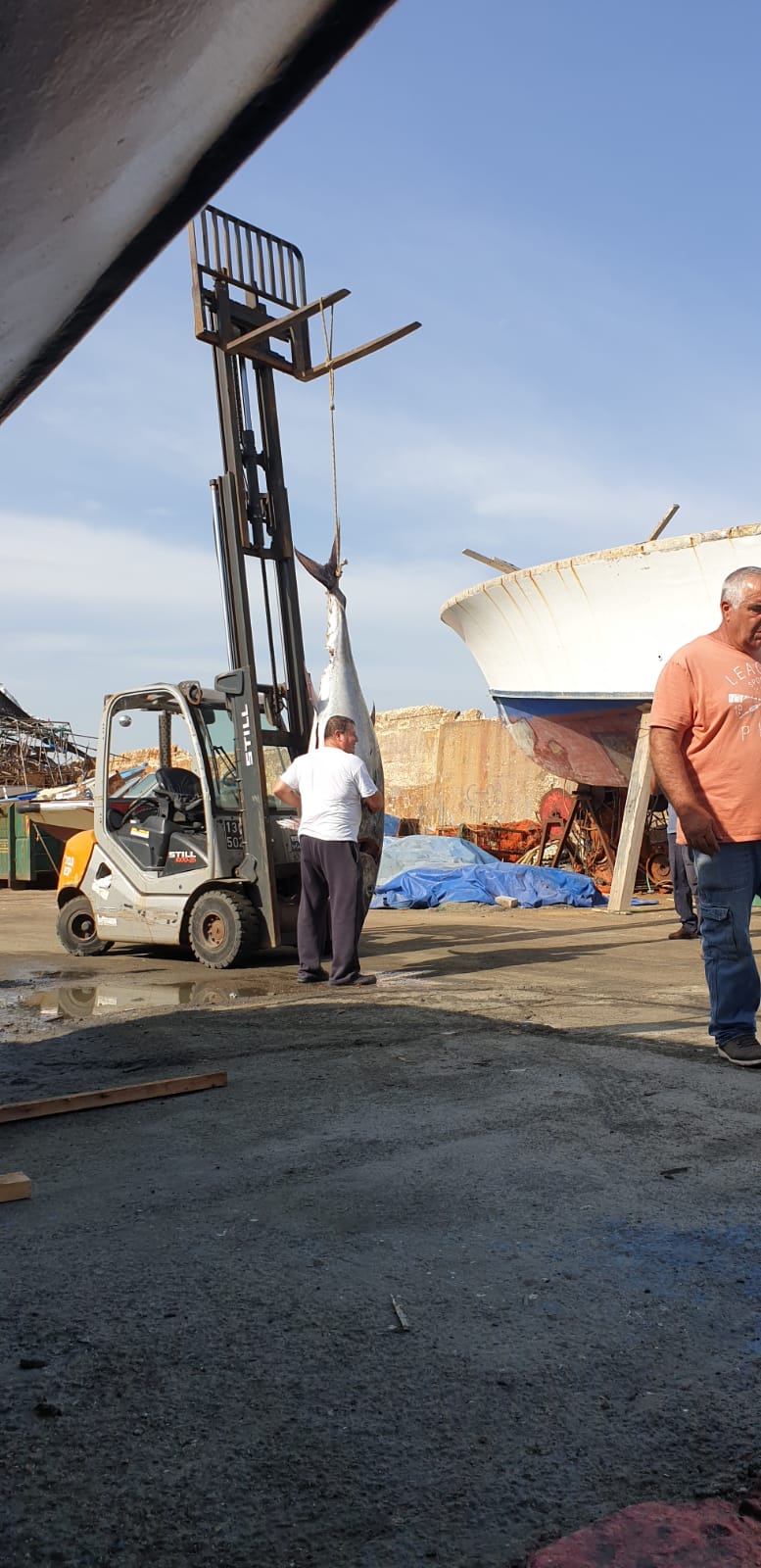 WhatsApp Image 2020-05-13 at 9.02.00 AM.jpeg.jpeg